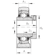 直立式軸承座單元 TSHE20-N, 鑄鐵軸承座，帶偏心鎖圈的外球面球軸承，T 型密封